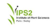 Logo Institut of Plant Sciences